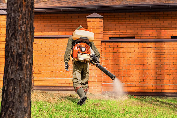 Trusted Rodent Control service in Castle Dale, UT - Nex Pest Control